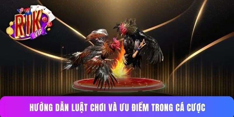 Hướng dẫn luật chơi và ưu điểm trong cá cược