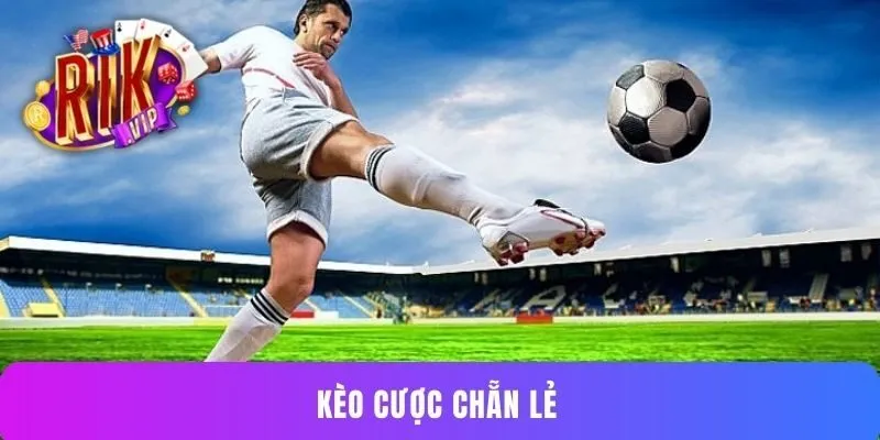 Kèo cược chẵn lẻ RIKVIP - Mẹo đặt cược hiệu quả từ cao thủ