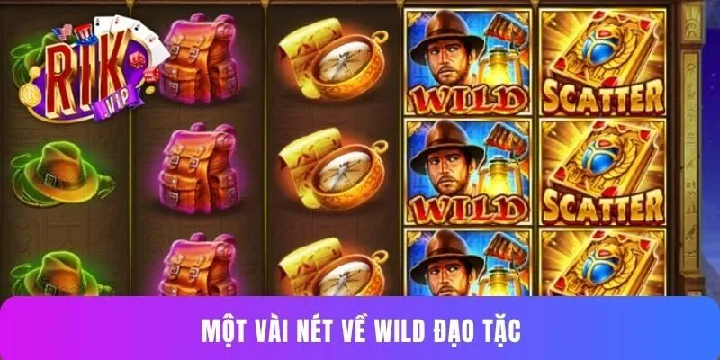 Một vài nét về Wild đạo tặc